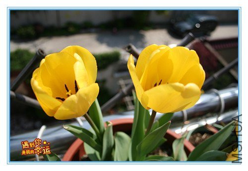 ��Ƭ 018_����.jpg