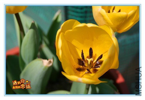 ��Ƭ 021_����.jpg