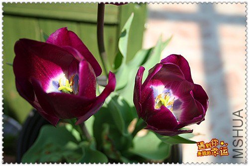 ��Ƭ 010_����.jpg