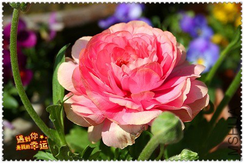 ��Ƭ 063_����.jpg