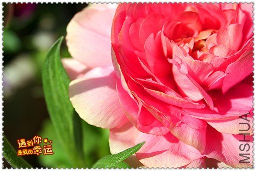 ��Ƭ 065_����.jpg