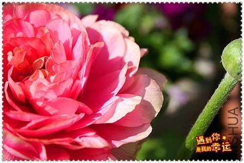 ��Ƭ 066_����.jpg