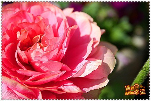 ��Ƭ 068_����.jpg