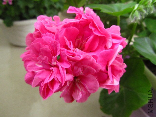 ��Ƭ 075.jpg
