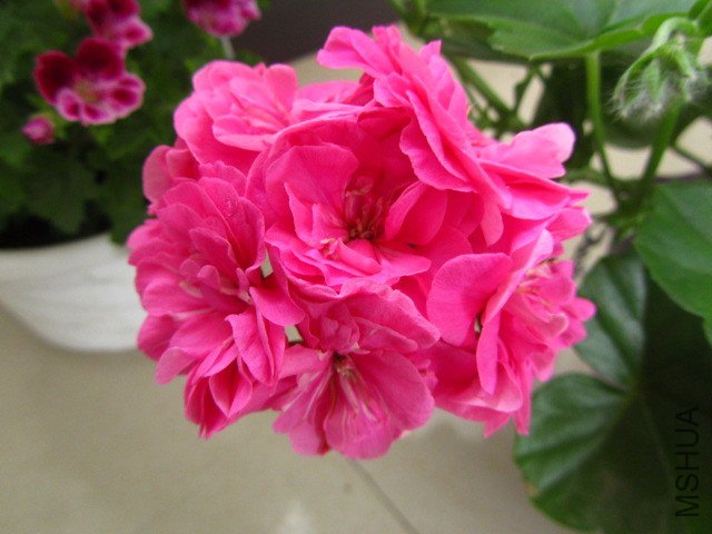 ��Ƭ 063.jpg