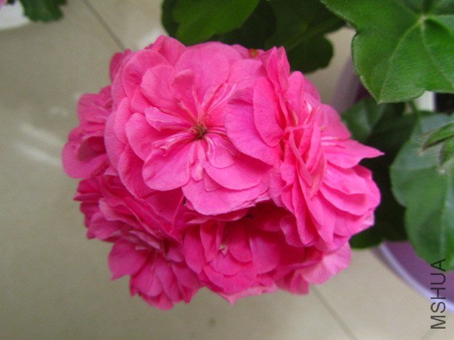 ��Ƭ 064.jpg