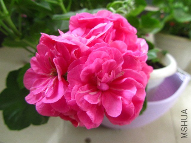 ��Ƭ 065.jpg