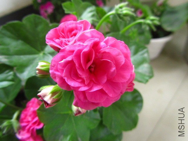 ��Ƭ 066.jpg