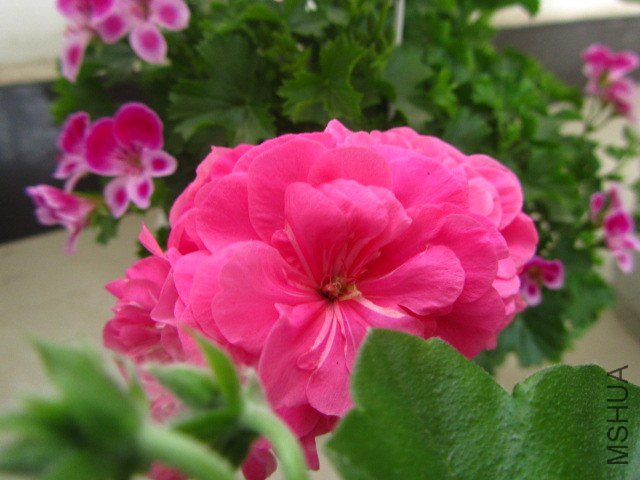 ��Ƭ 069.jpg