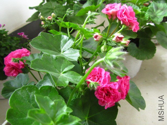 ��Ƭ 070.jpg