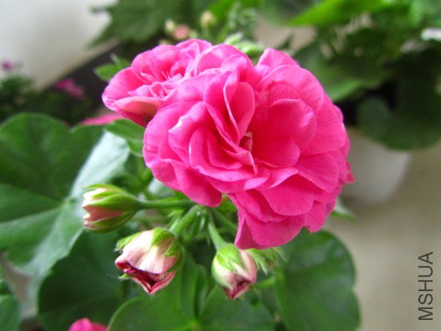 ��Ƭ 072.jpg