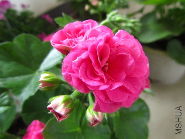 ��Ƭ 073.jpg