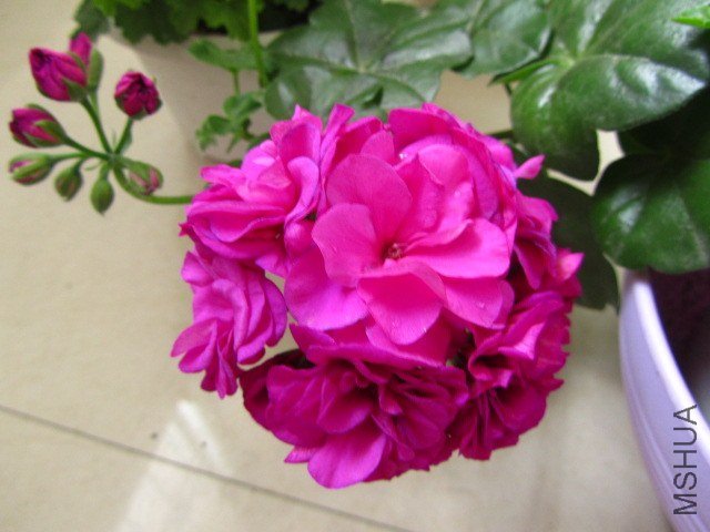 ��Ƭ 087.jpg