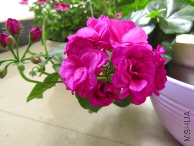 ��Ƭ 088.jpg