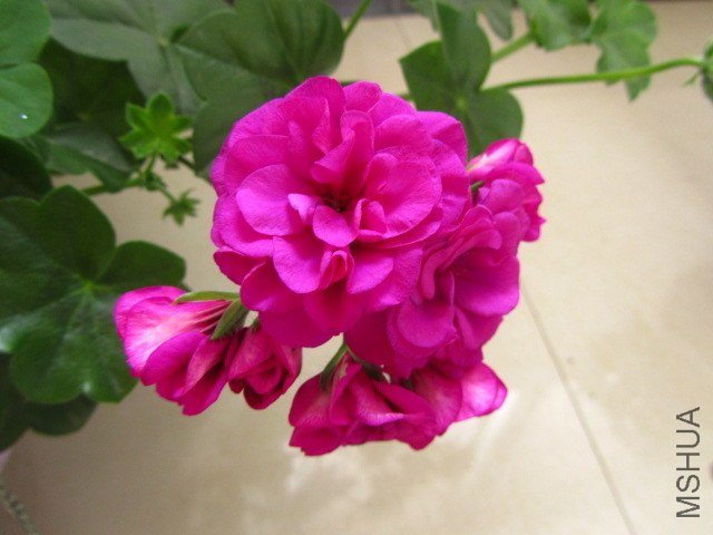 ��Ƭ 089.jpg