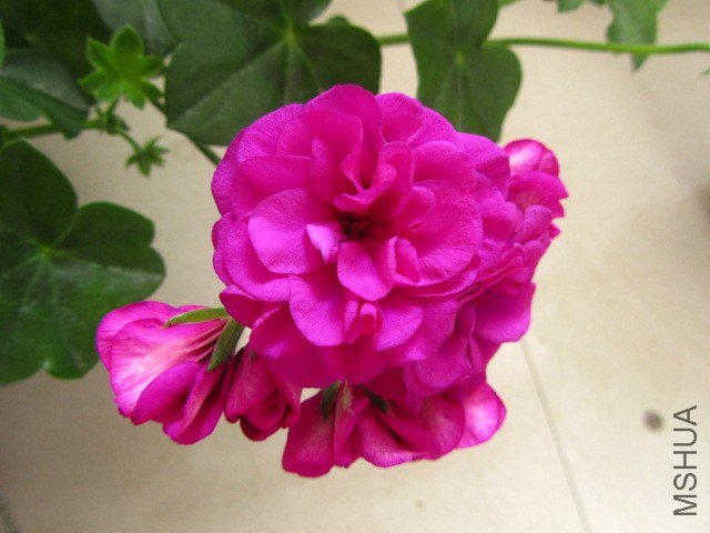 ��Ƭ 090.jpg
