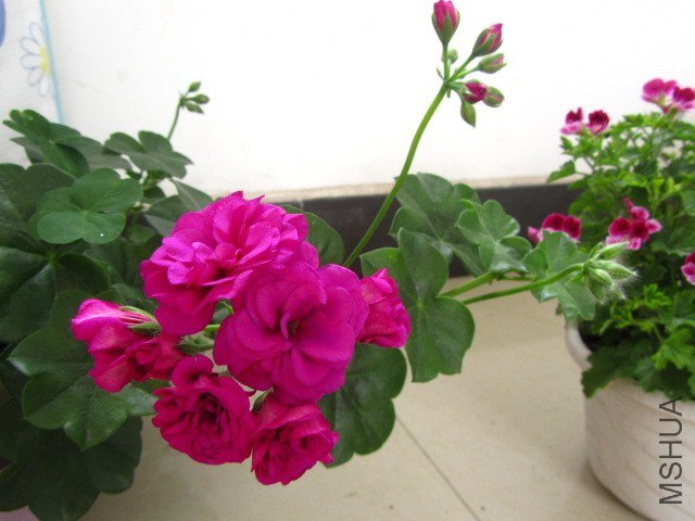 ��Ƭ 091.jpg