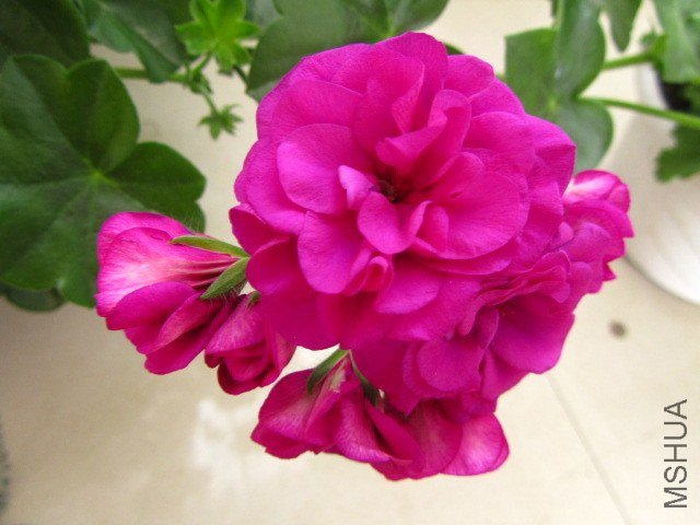 ��Ƭ 093.jpg