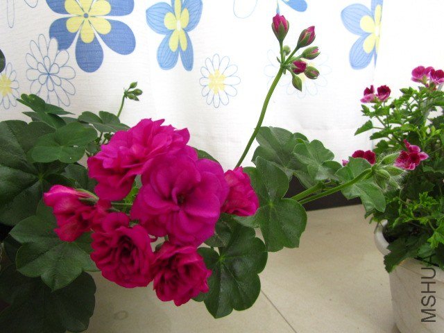 ��Ƭ 094.jpg