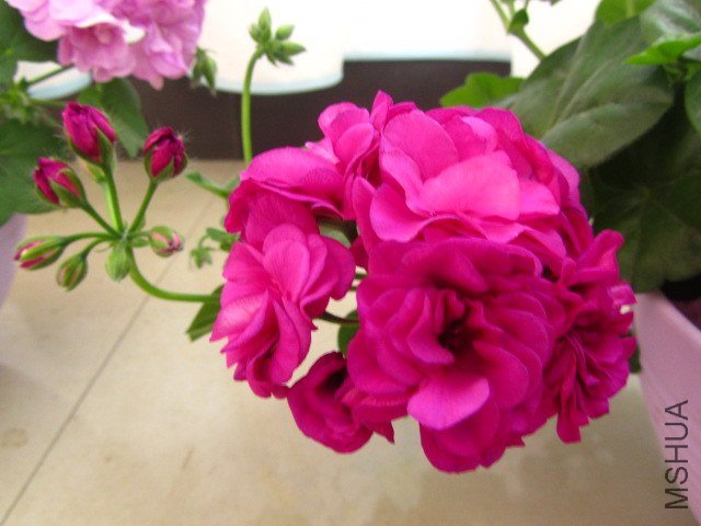 ��Ƭ 095.jpg