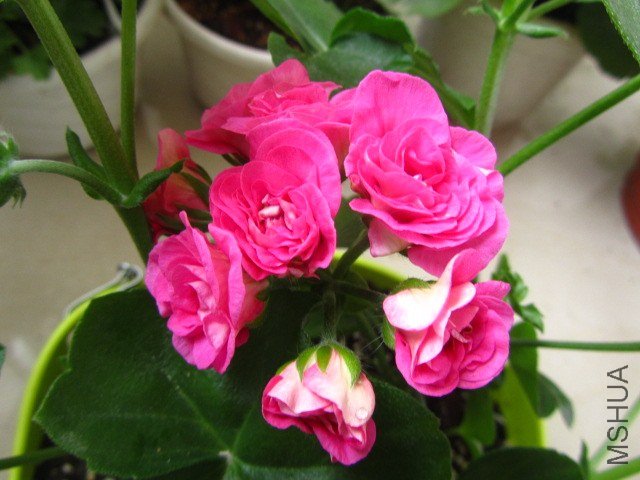 ��Ƭ 084.jpg