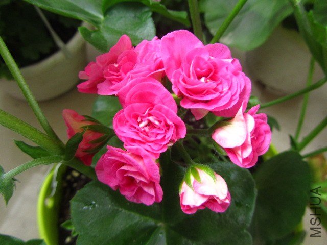 ��Ƭ 076.jpg