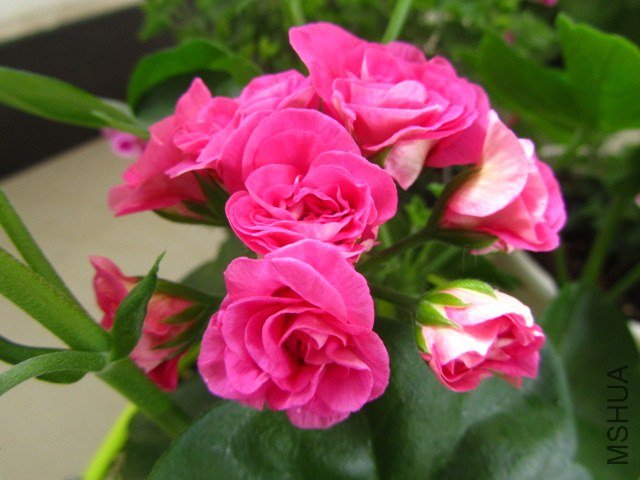 ��Ƭ 077.jpg