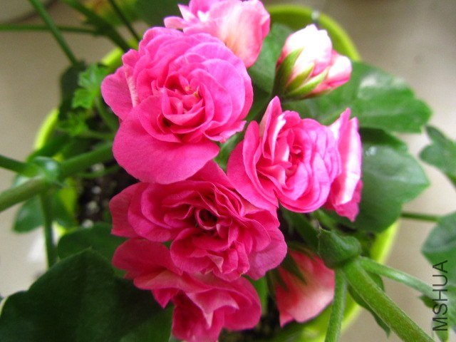 ��Ƭ 080.jpg