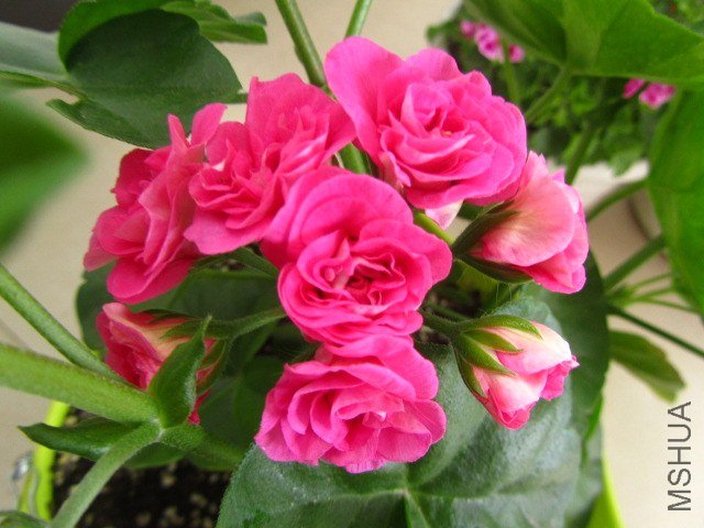 ��Ƭ 081.jpg