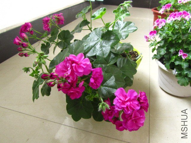 ��Ƭ 056.jpg