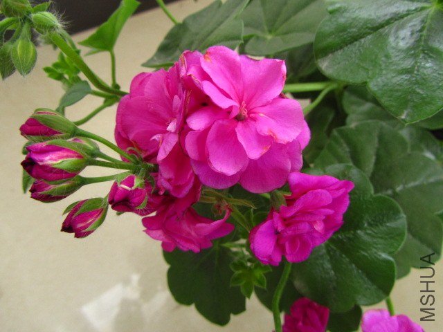 ��Ƭ 051.jpg
