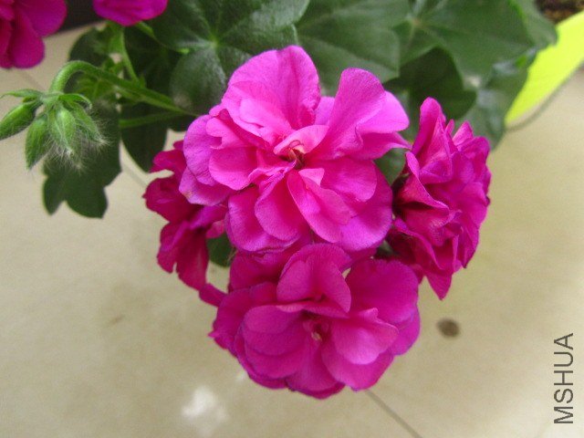 ��Ƭ 052.jpg