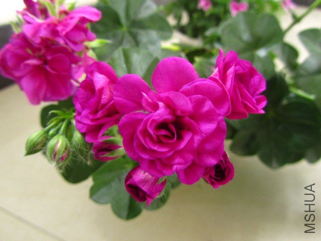 ��Ƭ 053.jpg