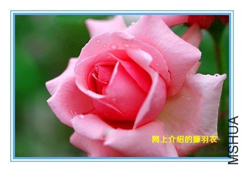 ��Ƭ 036_����.jpg