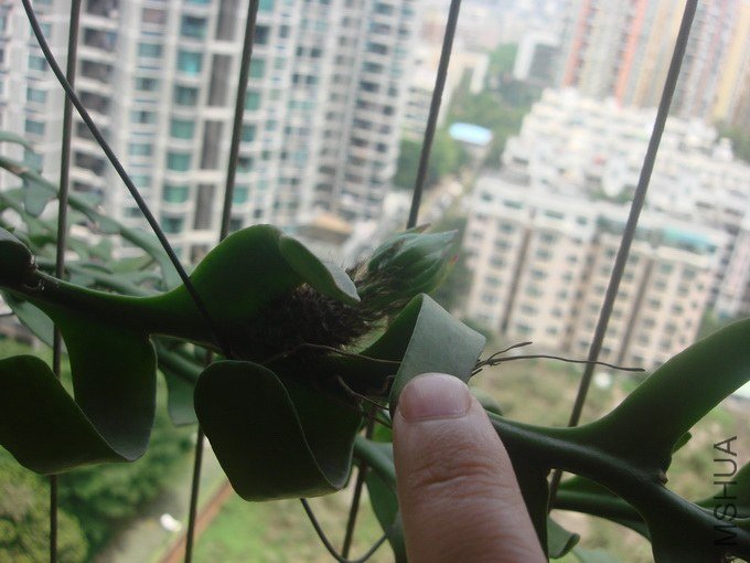 DSC07685_������С.JPG