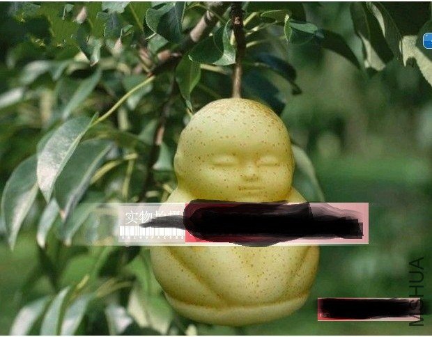 ��Ϊ˵�����漰���� �������ֶ�Ϳ���� ��֪���ǲ��Ǻ���