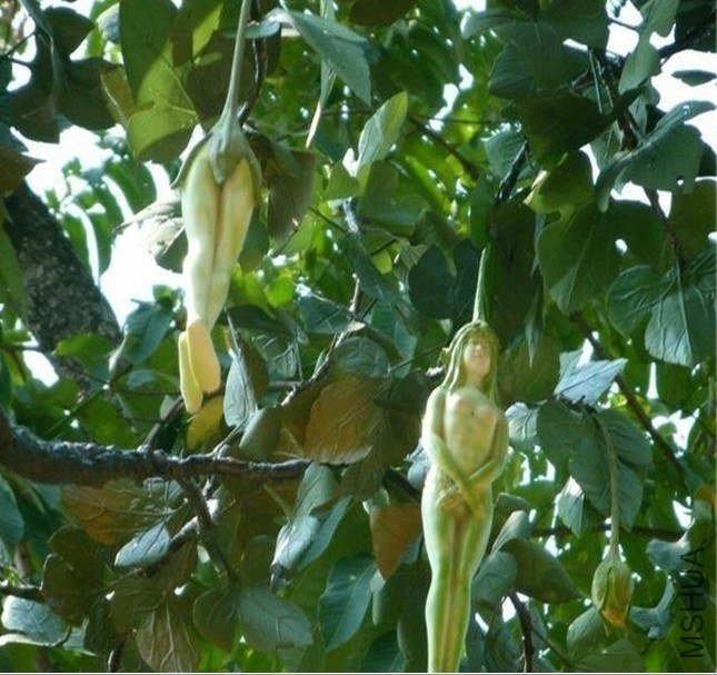 �ⶫ��������������ô����