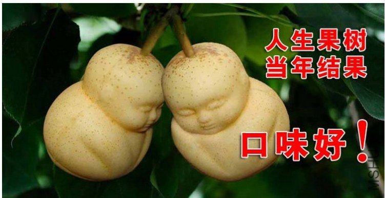 �˲λ���������