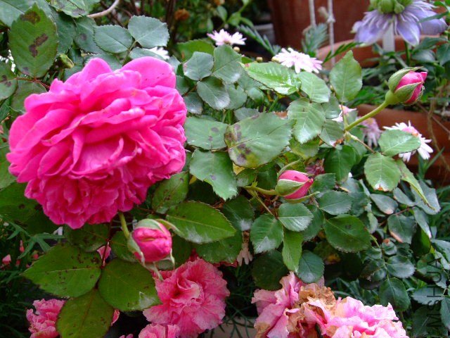 DSCF1660.JPG