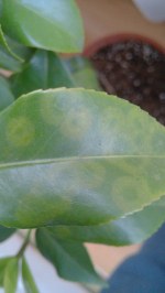 IMG_20130421_140227.jpg