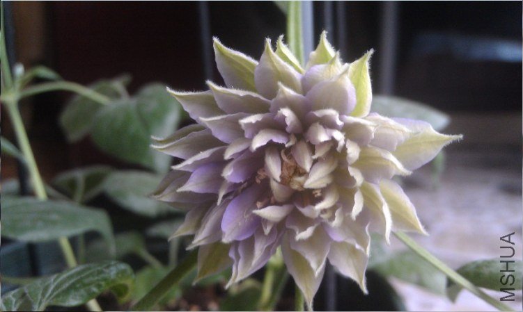 QQ��ͼ20130421165402.jpg