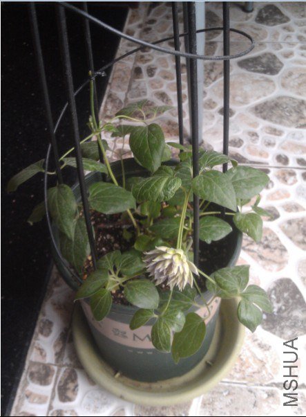 QQ��ͼ20130421165421.jpg
