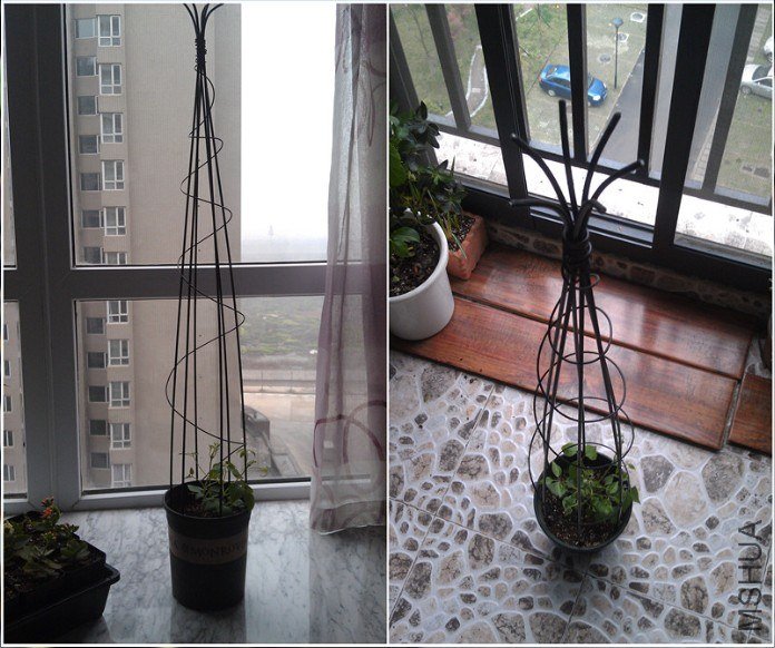 QQ��ͼ20130421165711.jpg