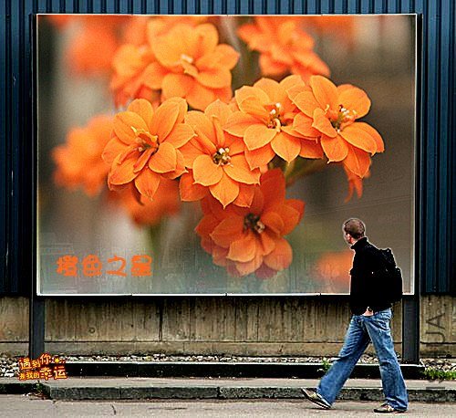 ��Ƭ 080_����.jpg