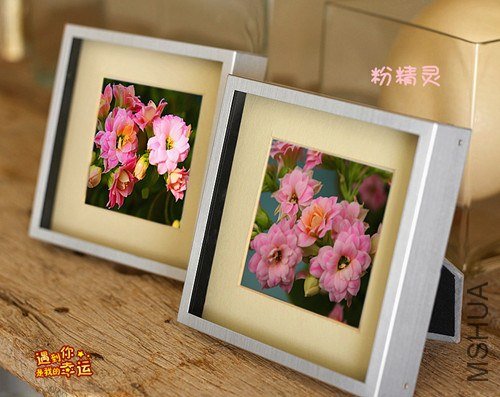 ��Ƭ 087_����.jpg