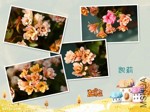 ��Ƭ 088_����.jpg