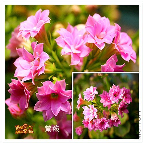 ��Ƭ 089_����.jpg