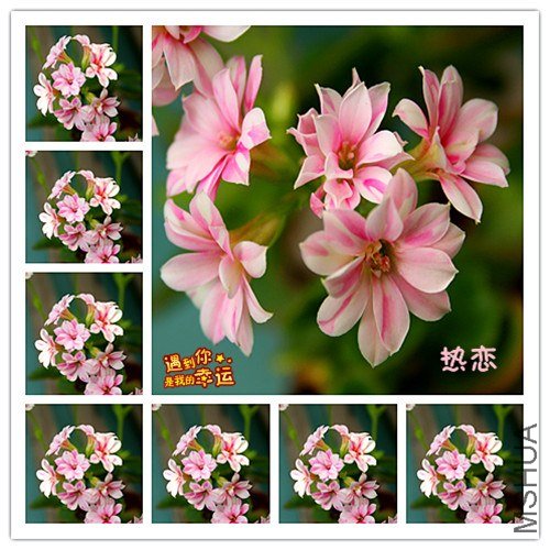 ��Ƭ 091_����.jpg