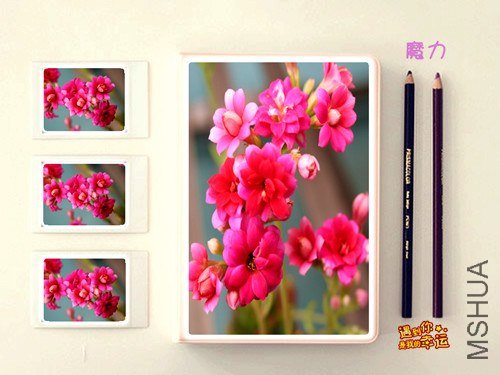 ��Ƭ 095_����.jpg