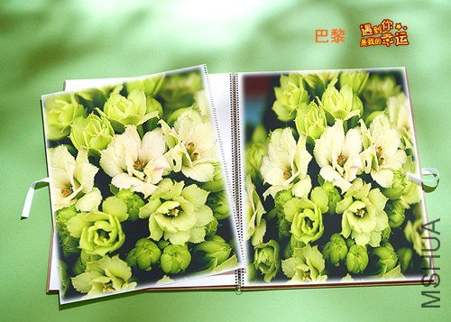 ��Ƭ 098_����.jpg